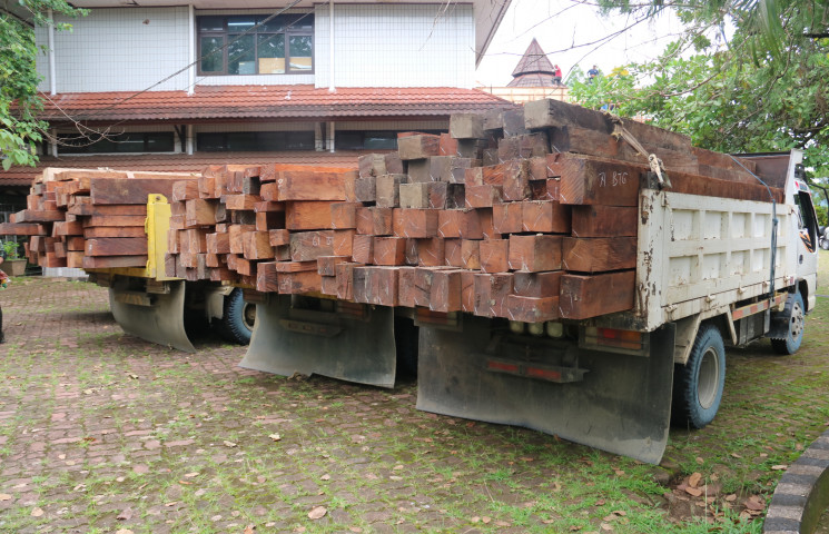 Dishut Segera Lelang Kayu Hasil Sitaan